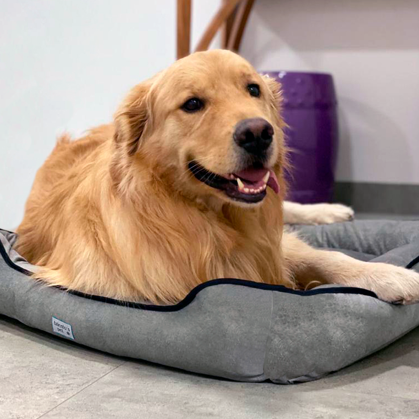 Cama Pet da coleção Suede tamanho P - TALENTOS PET